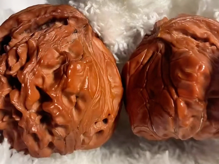 纯天然异形蛇头 文玩核桃异形