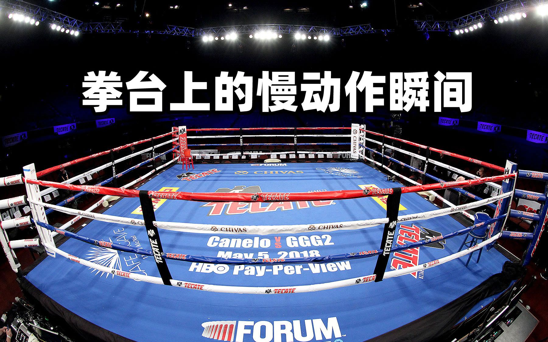 拳台上那些难以置信的慢动作瞬间