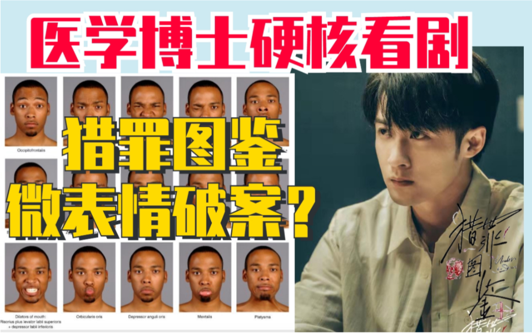 猎罪图鉴reaction: 面部骨骼和微表情有多神奇?哔哩哔哩bilibili