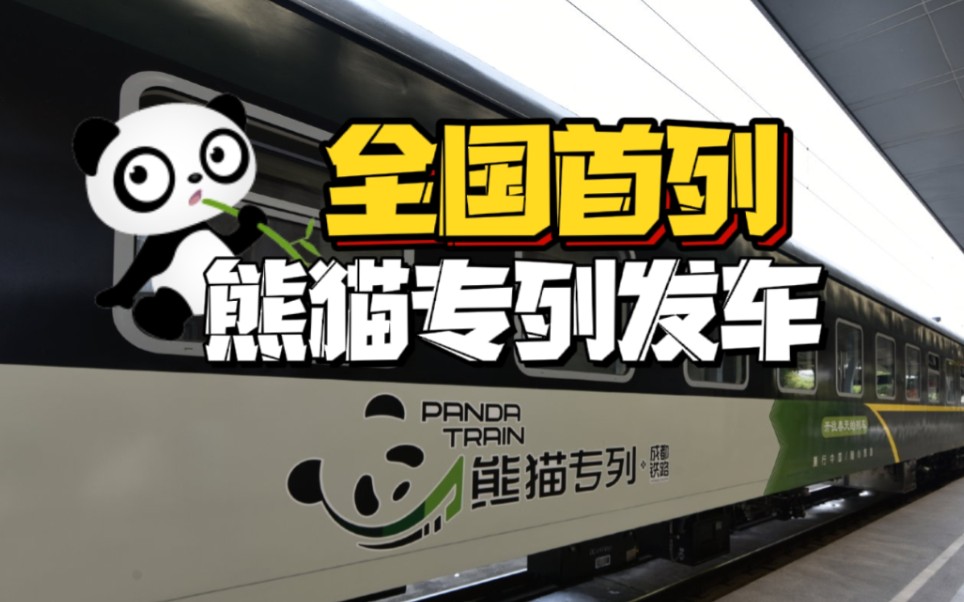 熊猫专列发车你见过自带ktv舞池淋浴系统以及主题文化餐厅的列车吗