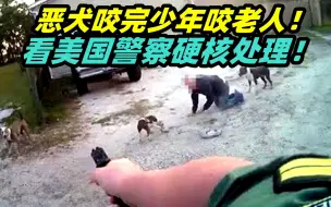 Download Video: 美国男子遛狗不牵绳！比特凶犬撕咬少年和老人！看美警硬核处理！