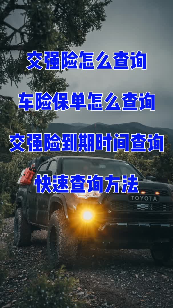 怎么查询车辆保险信息(如何查询车辆的保险信息)