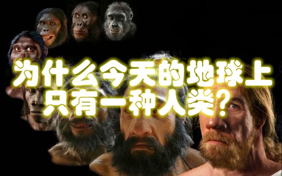 【史前快讯】【第10期】为什么今天的地球上只有一种人类?哔哩哔哩bilibili