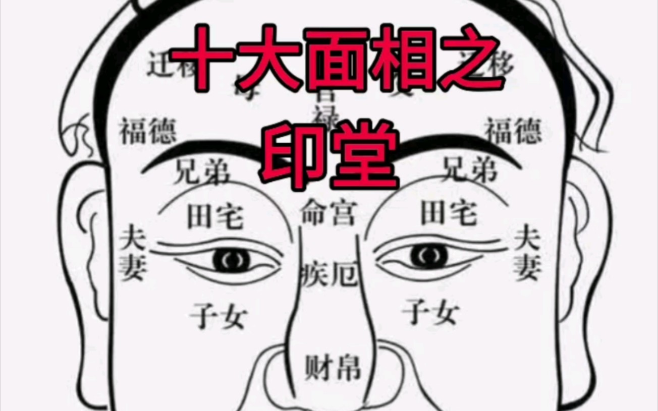 教你看面相,新手零基础学看面相.十大面相之印堂哔哩哔哩bilibili