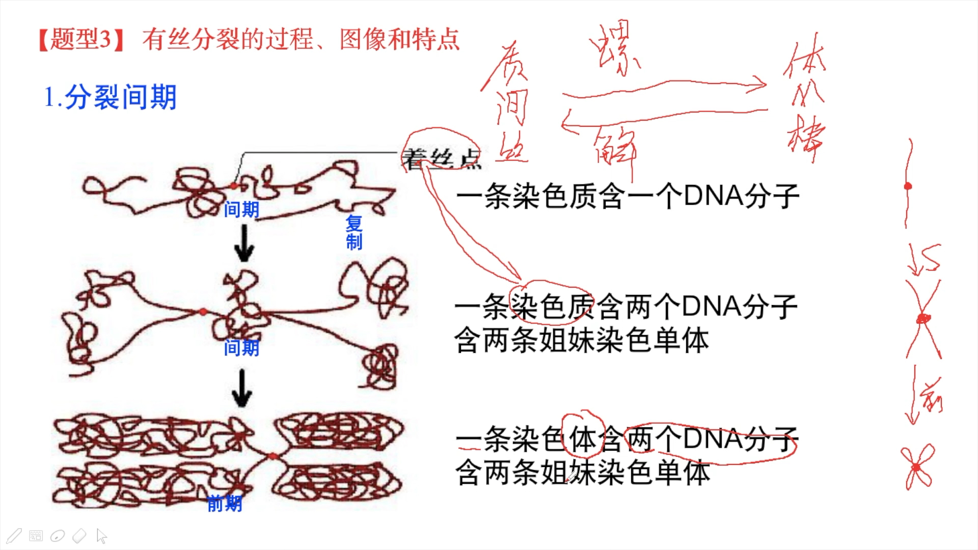 高中生物必修一分子与细胞:有丝分裂 题型3 有丝分裂的过程,图像和特点哔哩哔哩bilibili