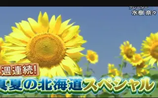 満天 青空レストラン 搜索结果 哔哩哔哩 Bilibili