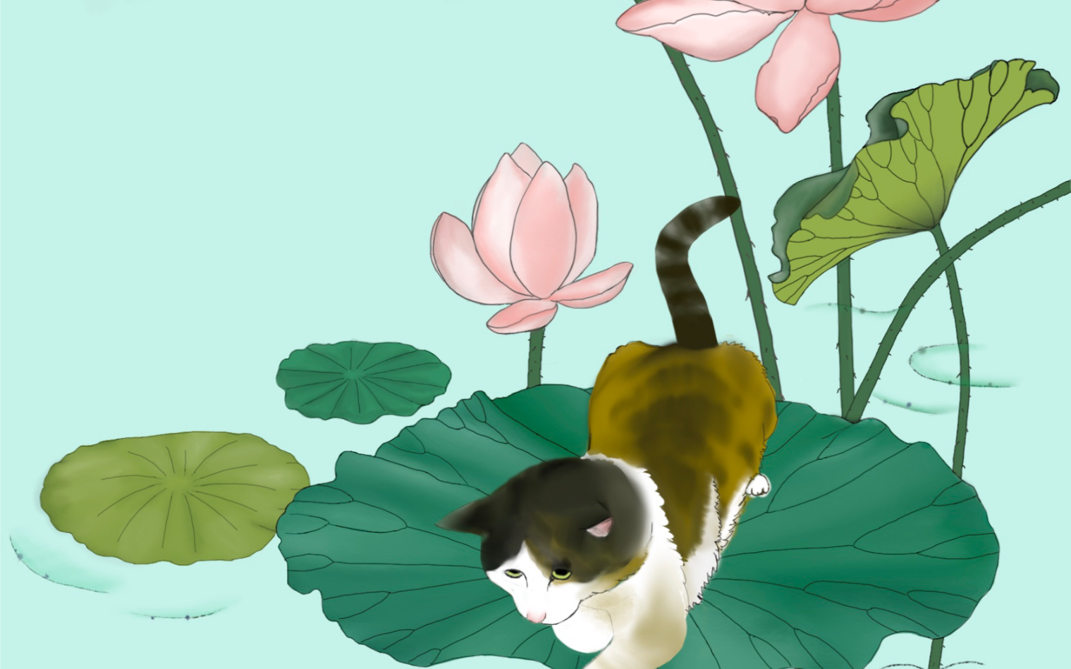 [procreate临摹——猫咪与荷花]