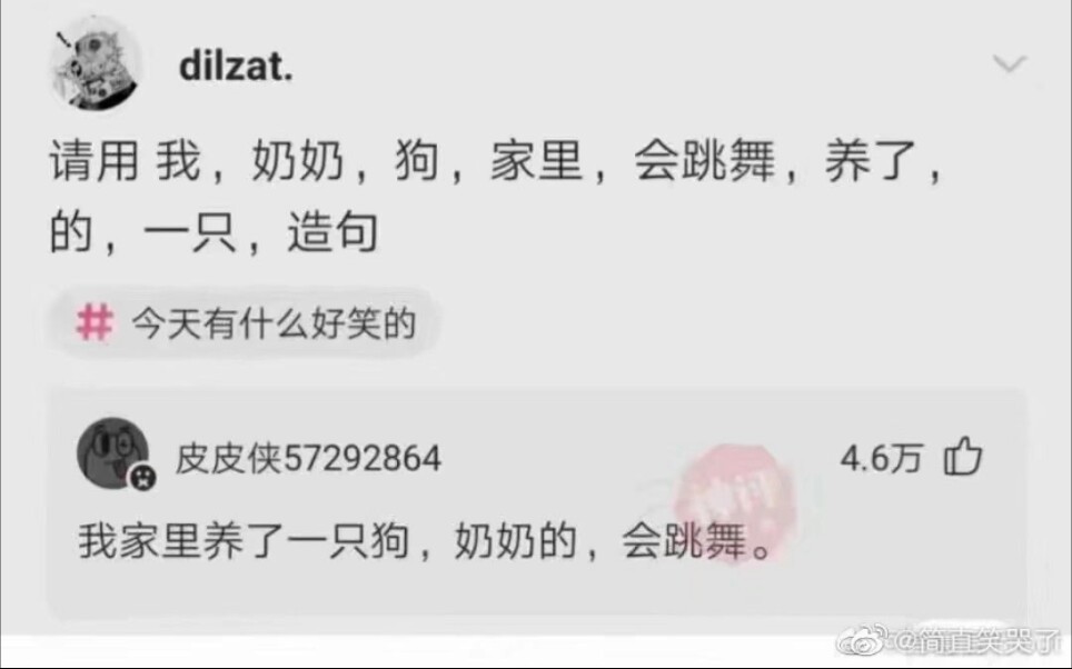 我家里养了一只狗,奶奶的,会跳舞!网络上的一些沙雕图片【第二十四期】哔哩哔哩bilibili