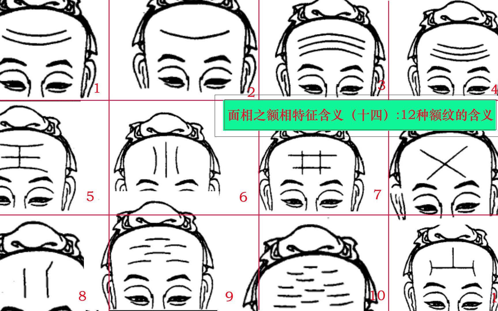 面相之额相系列十四哔哩哔哩bilibili