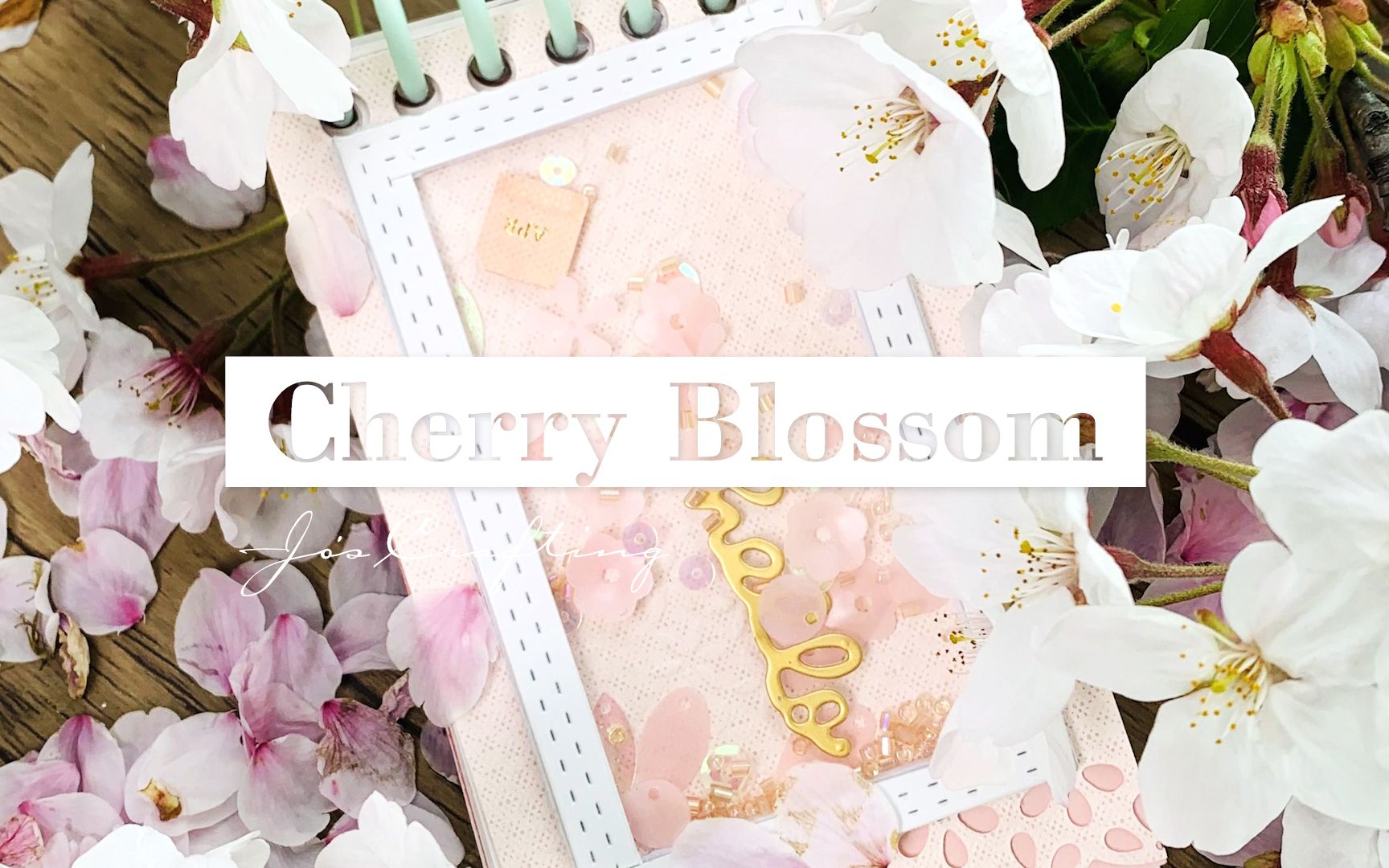 CHERRY BLOSSOM【樱花记事本】哔哩哔哩bilibili