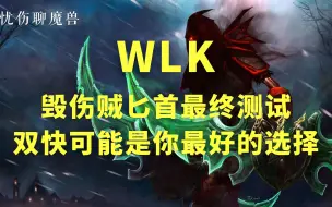 WLK毁伤贼匕首最终测试，双快可能是你最好的选择