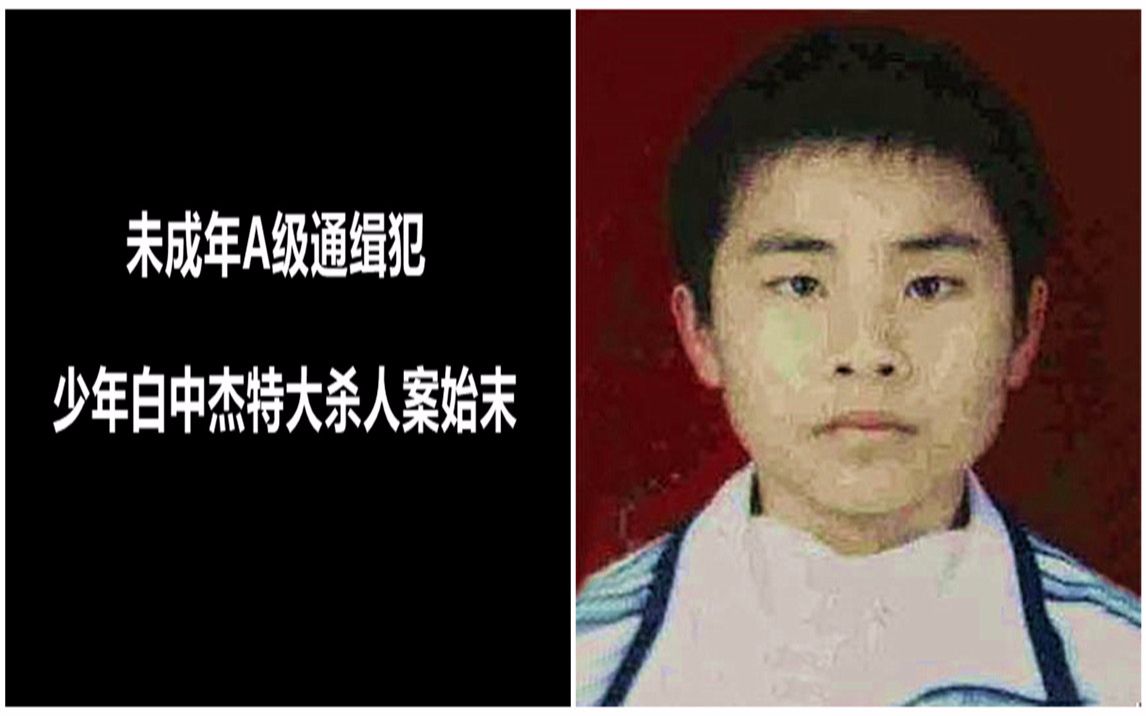 未成年a级通缉犯 少年白中杰特大杀人案始末 《角马异谈录》十二话