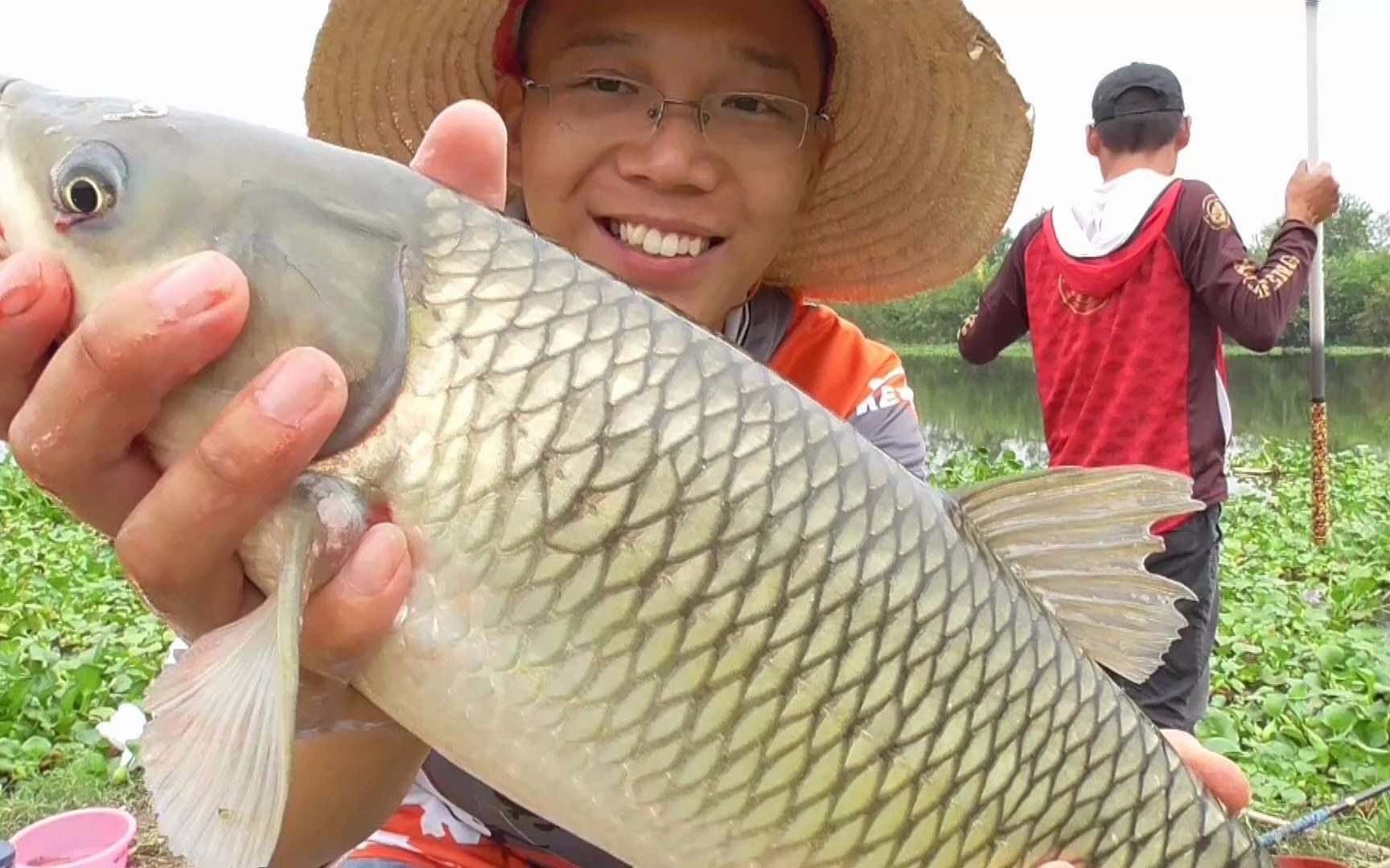 野钓内荆河,环境非常好,在这里钓鱼简直是一种享受!哔哩哔哩bilibili