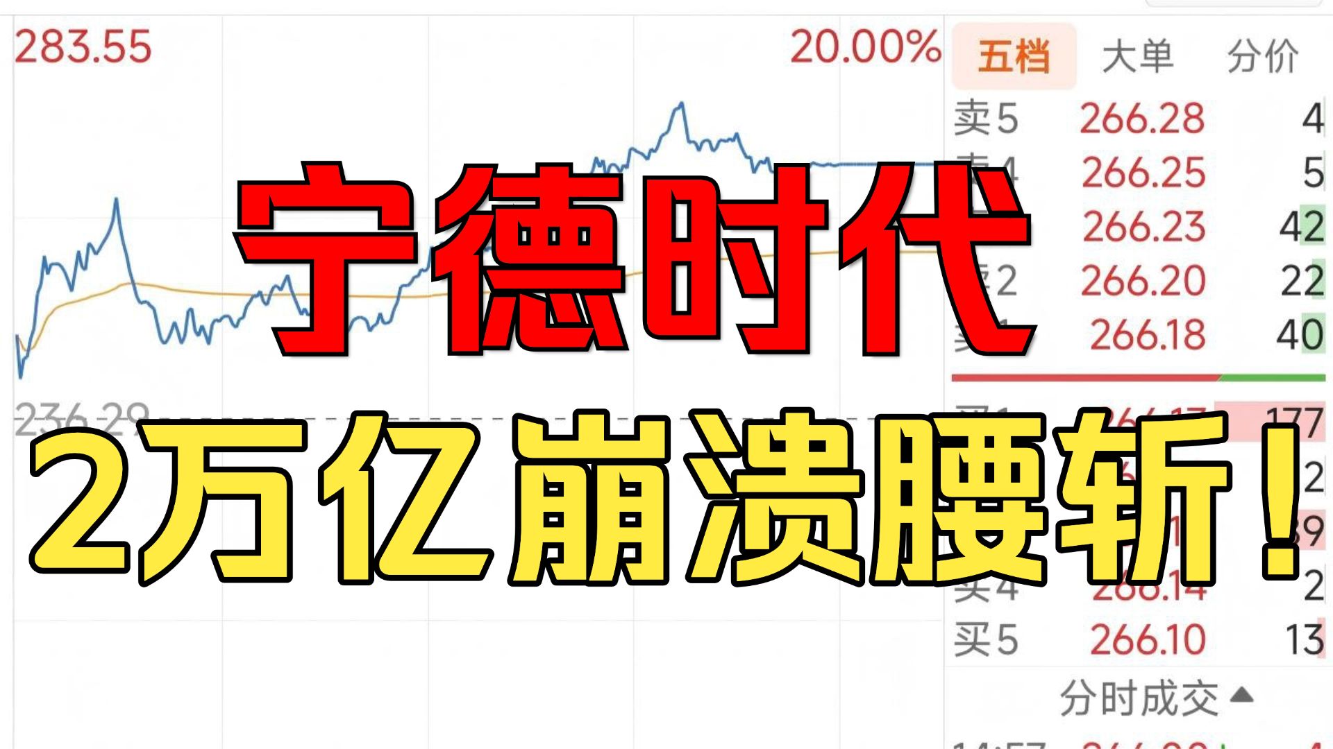 大熊头！宁德时代！“你的”时代！一代宁王！谁的青春！一去不复返了！2.2万亿！5个月跳楼跳楼！1.15万亿灰飞烟灭！亿