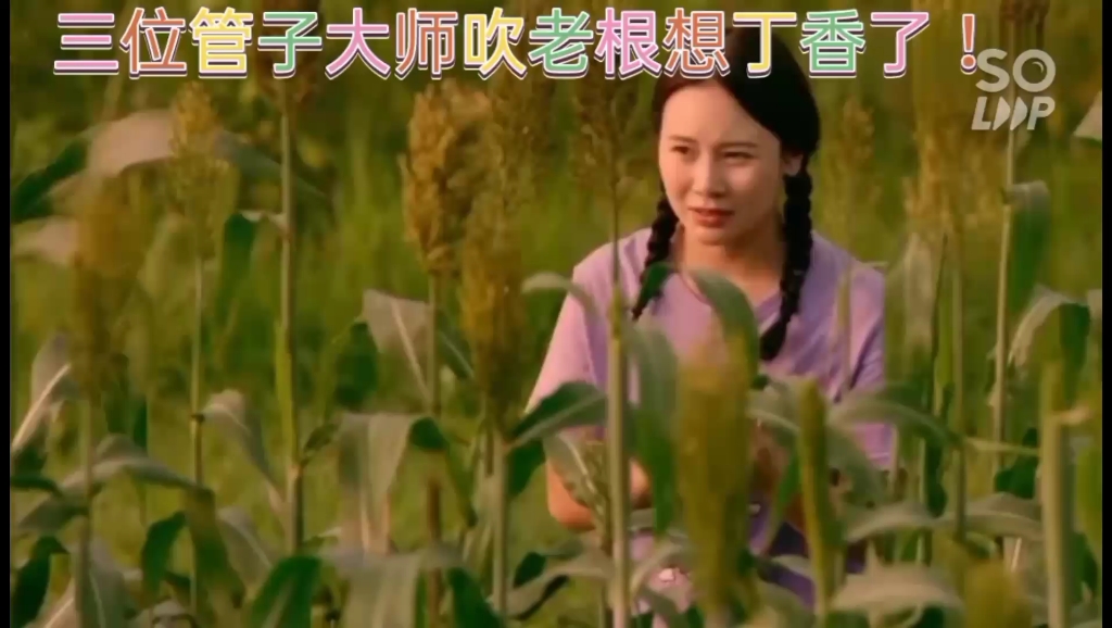 管子演奏哭妈妈图片