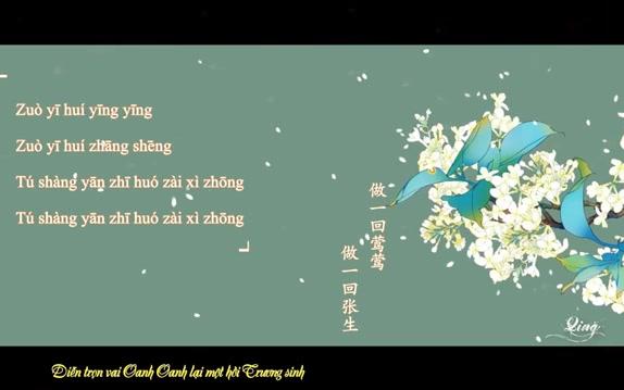 【收藏】越南网友制作拼音歌词版中国古装电视歌曲 西厢  小昔米 ost 新醉打金枝哔哩哔哩bilibili