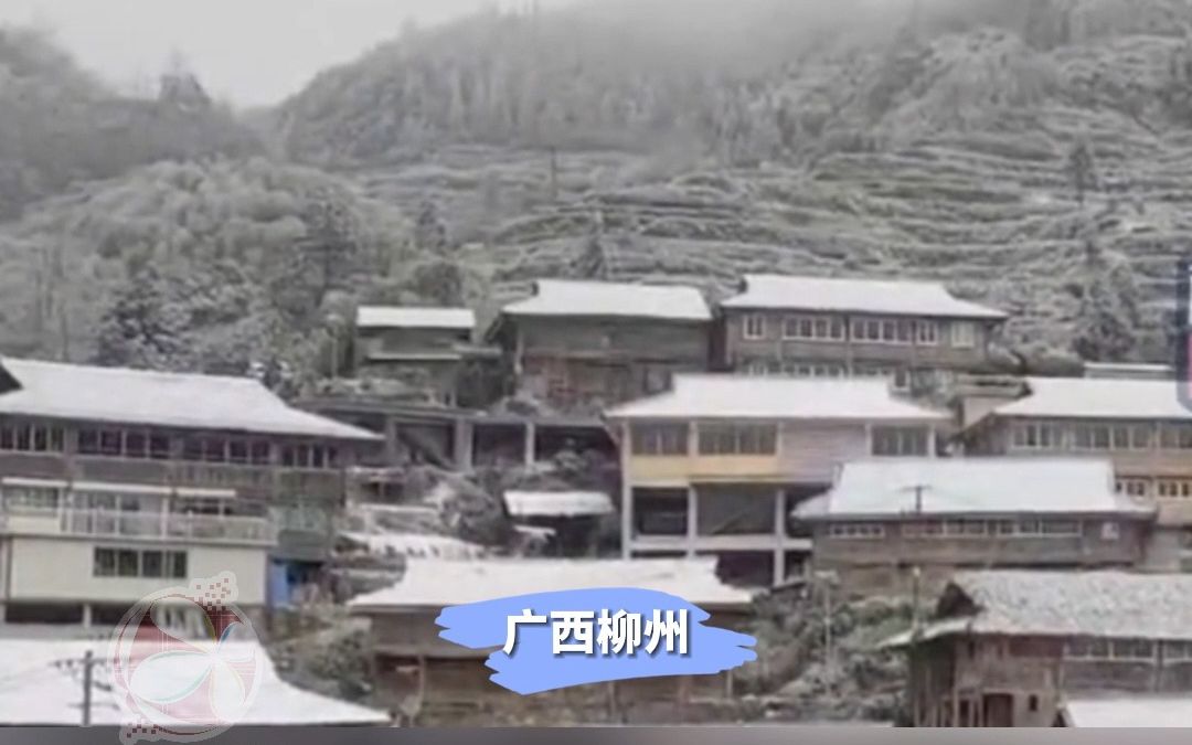 寒潮来临!广西多地迎来降雪哔哩哔哩bilibili