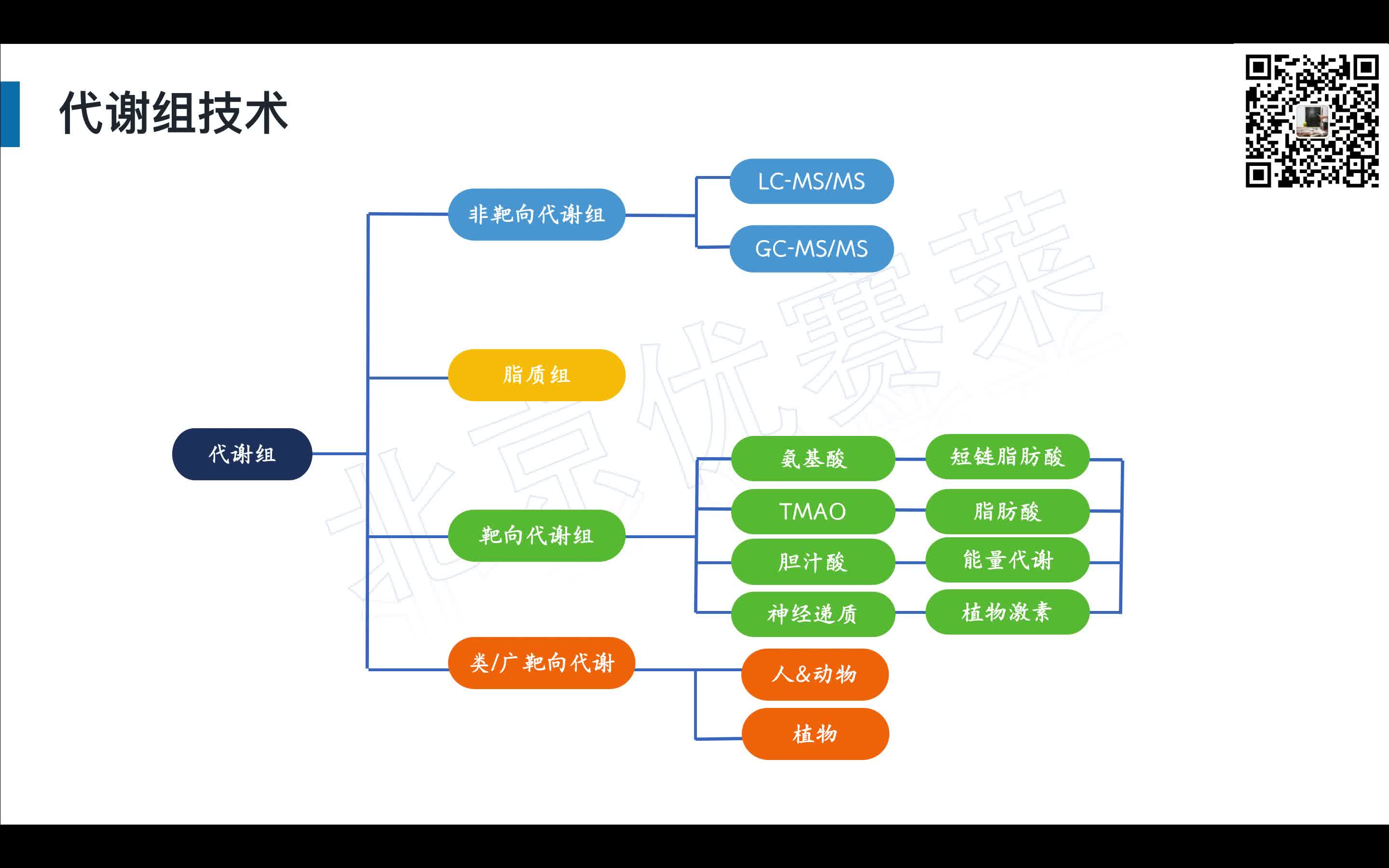 代谢组SCI文章思路解析哔哩哔哩bilibili