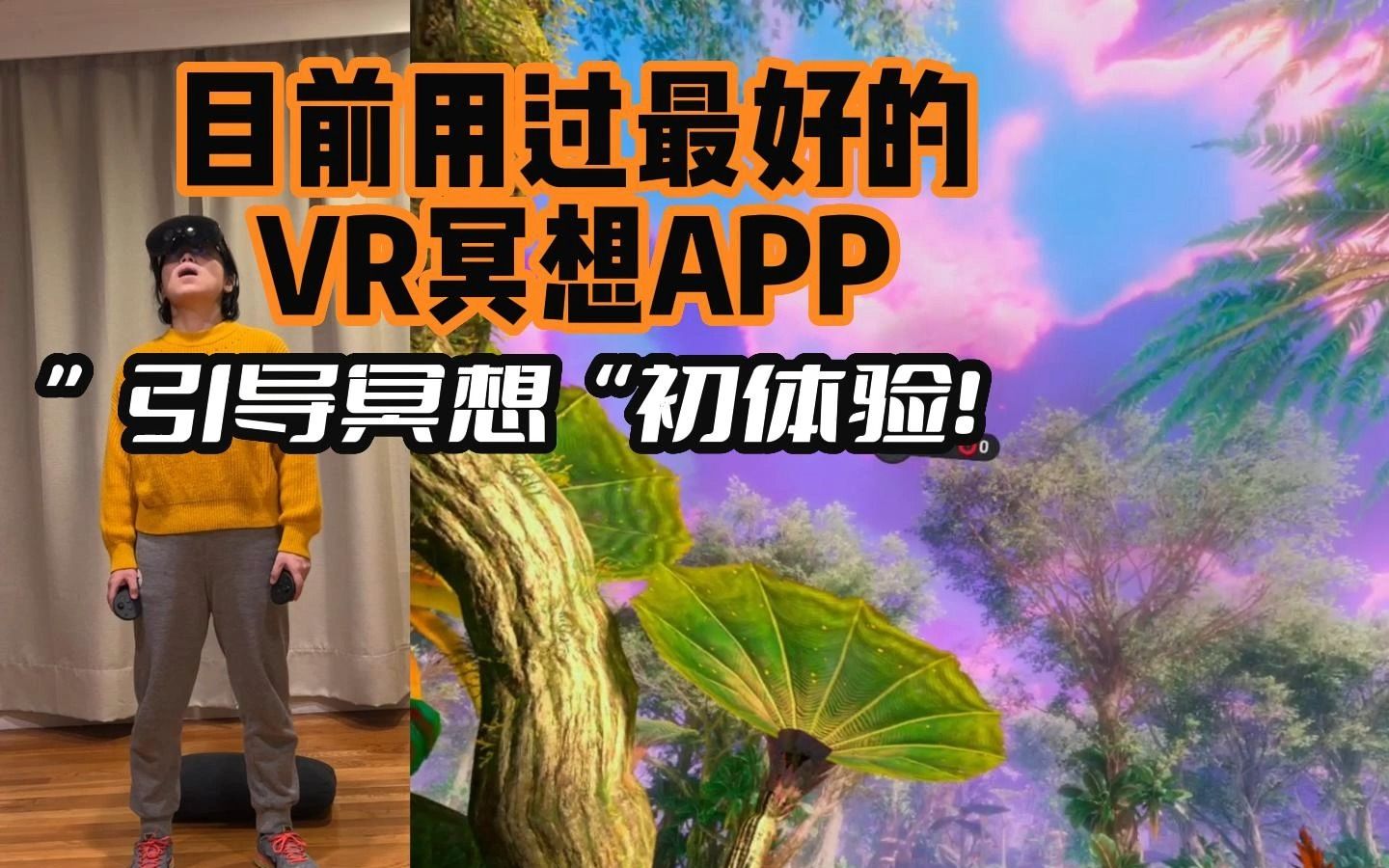 目前用过最好的VR冥想APP:魔幻森林美哭了!哔哩哔哩bilibili