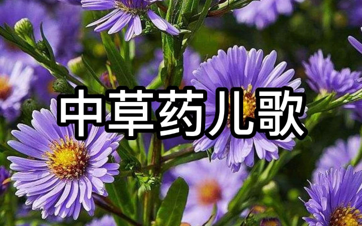 中草药儿歌,中医传承从祖国的花朵抓起哔哩哔哩bilibili