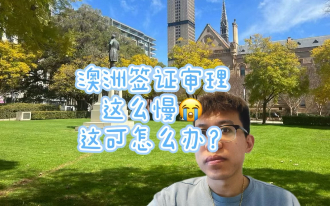 澳洲签证审理速度变慢,这可怎么办?哔哩哔哩bilibili