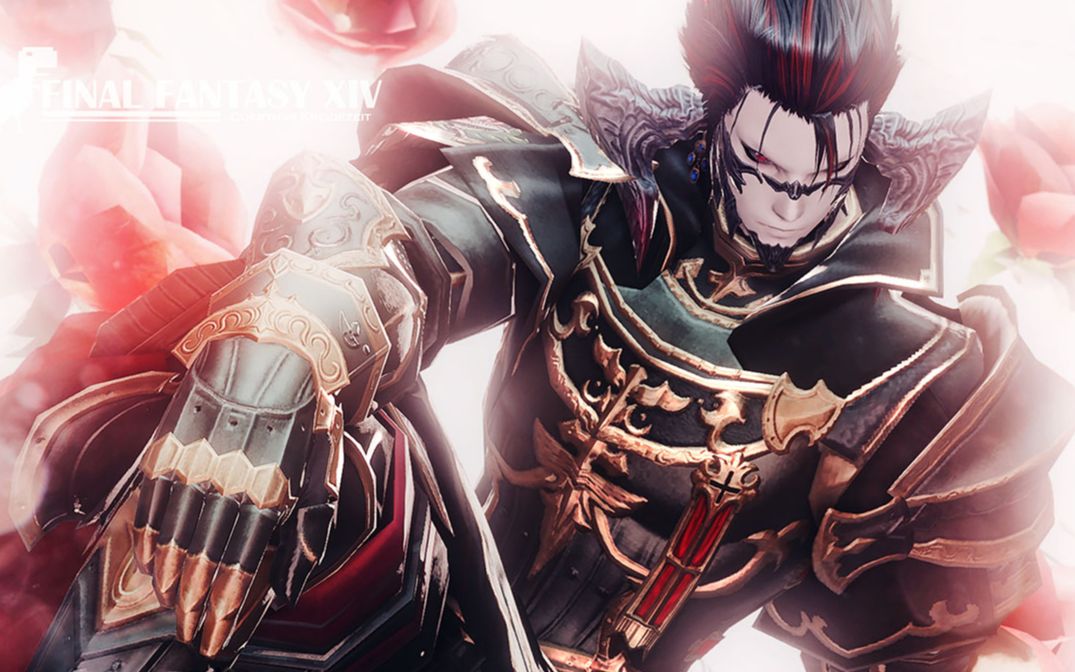 ff14国际服e8s野队日基主流打法骑士视角