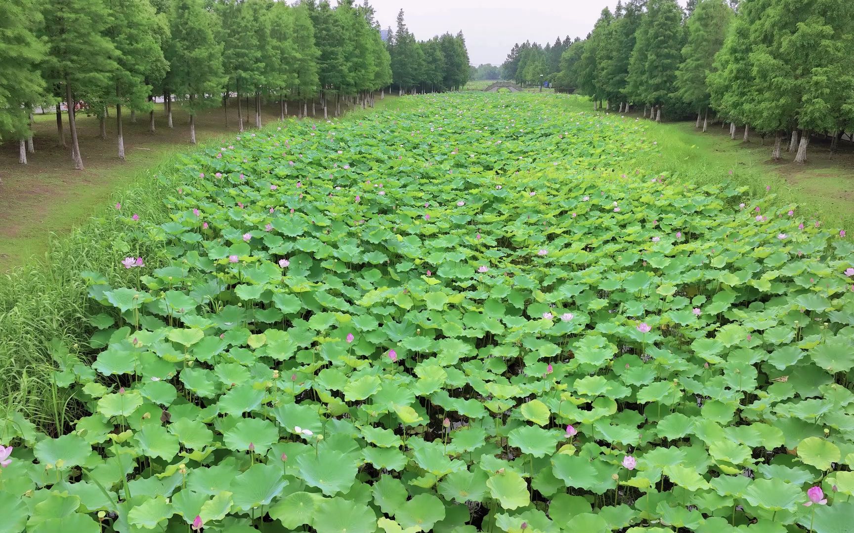 [图]航拍江苏苏州常熟昆承湖