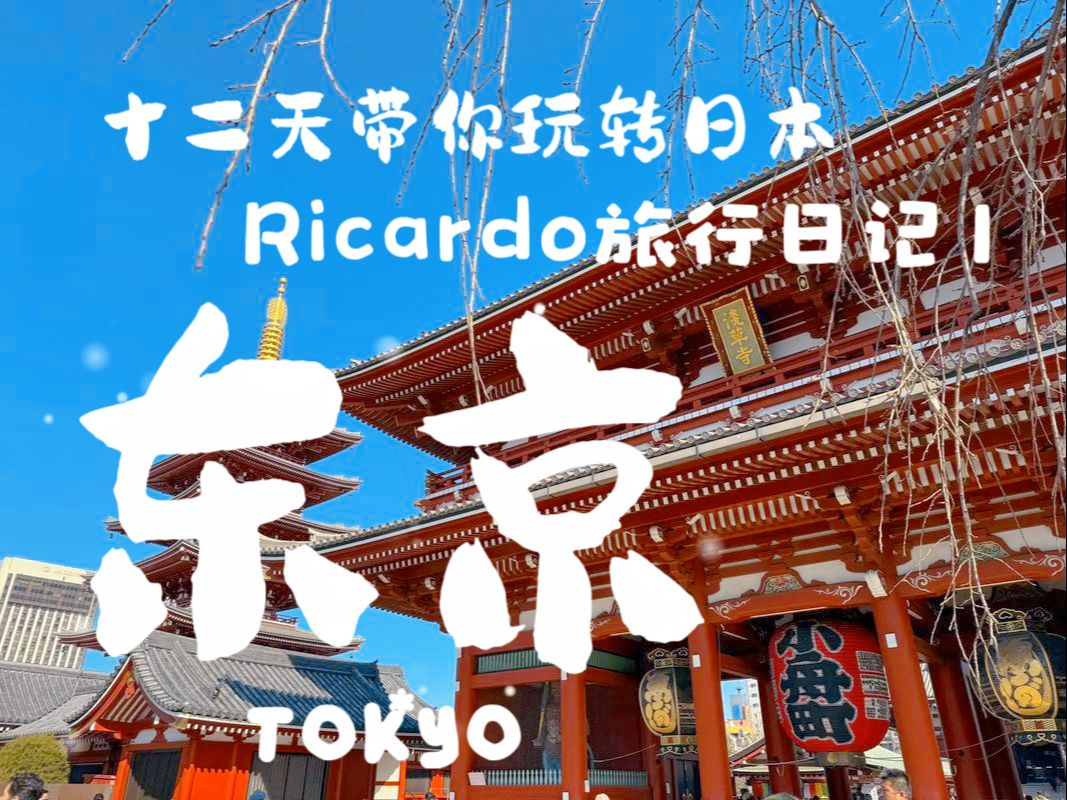 【十二天带你玩转日本】Ricardo旅行日记 vlog.1 东京丨成田机场丨浅草寺丨秋叶原丨御茶之水丨东京大学丨池袋丨新宿哔哩哔哩bilibili