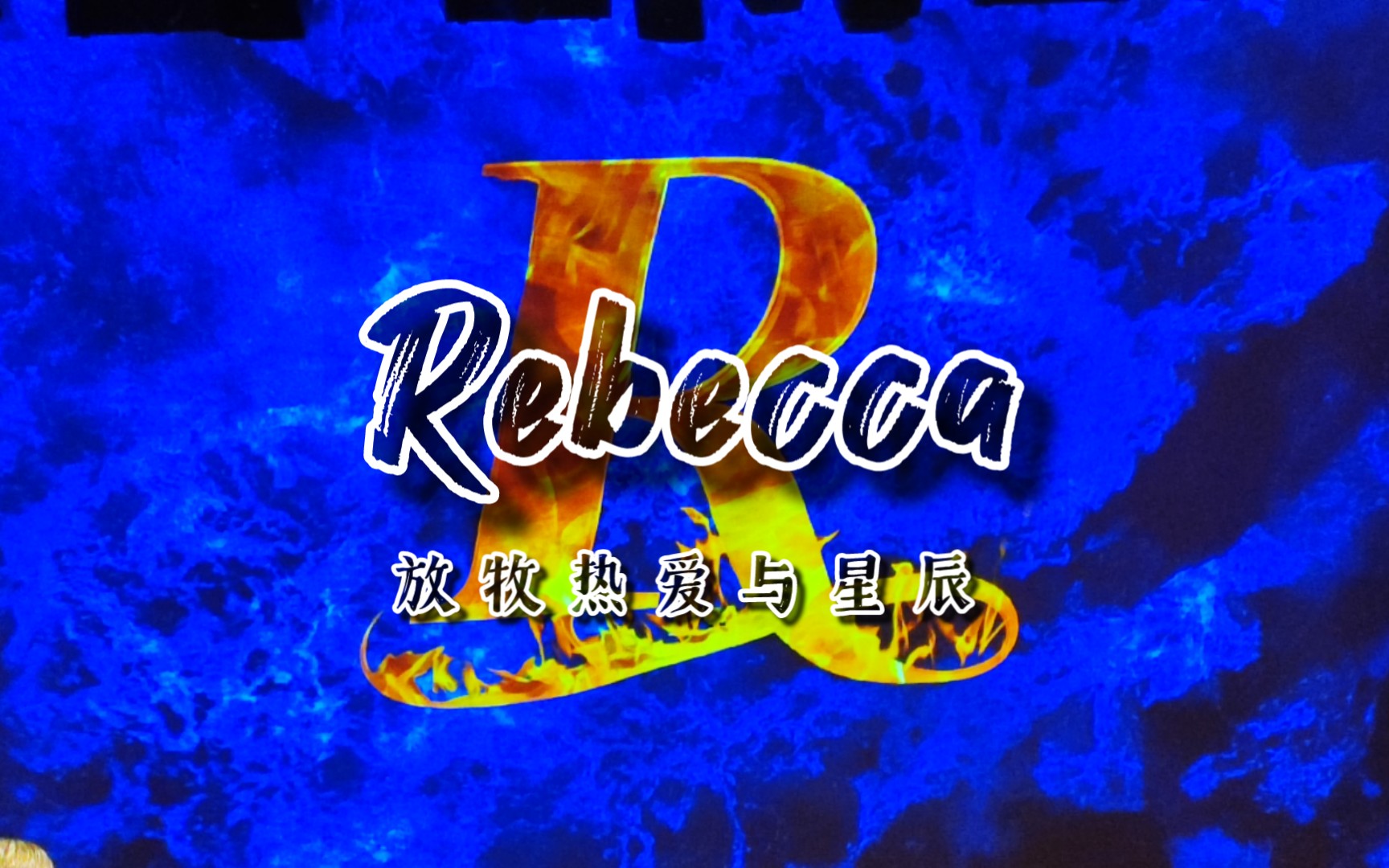 [图]【奥地利II·4K】音乐剧蝴蝶梦Rebecca┃维也纳艺术史博物馆┃城市地铁观察记录┃维也纳┃奥地利┃欧洲旅游┃是胖芋头呀