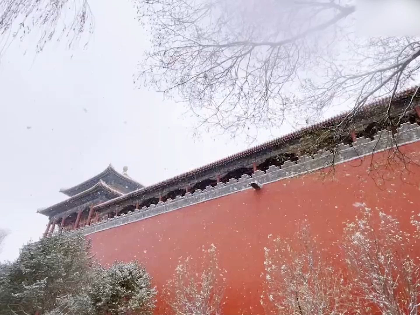 故宫雪景高清大片上新:白雪红墙 六百年风韵尽显哔哩哔哩bilibili