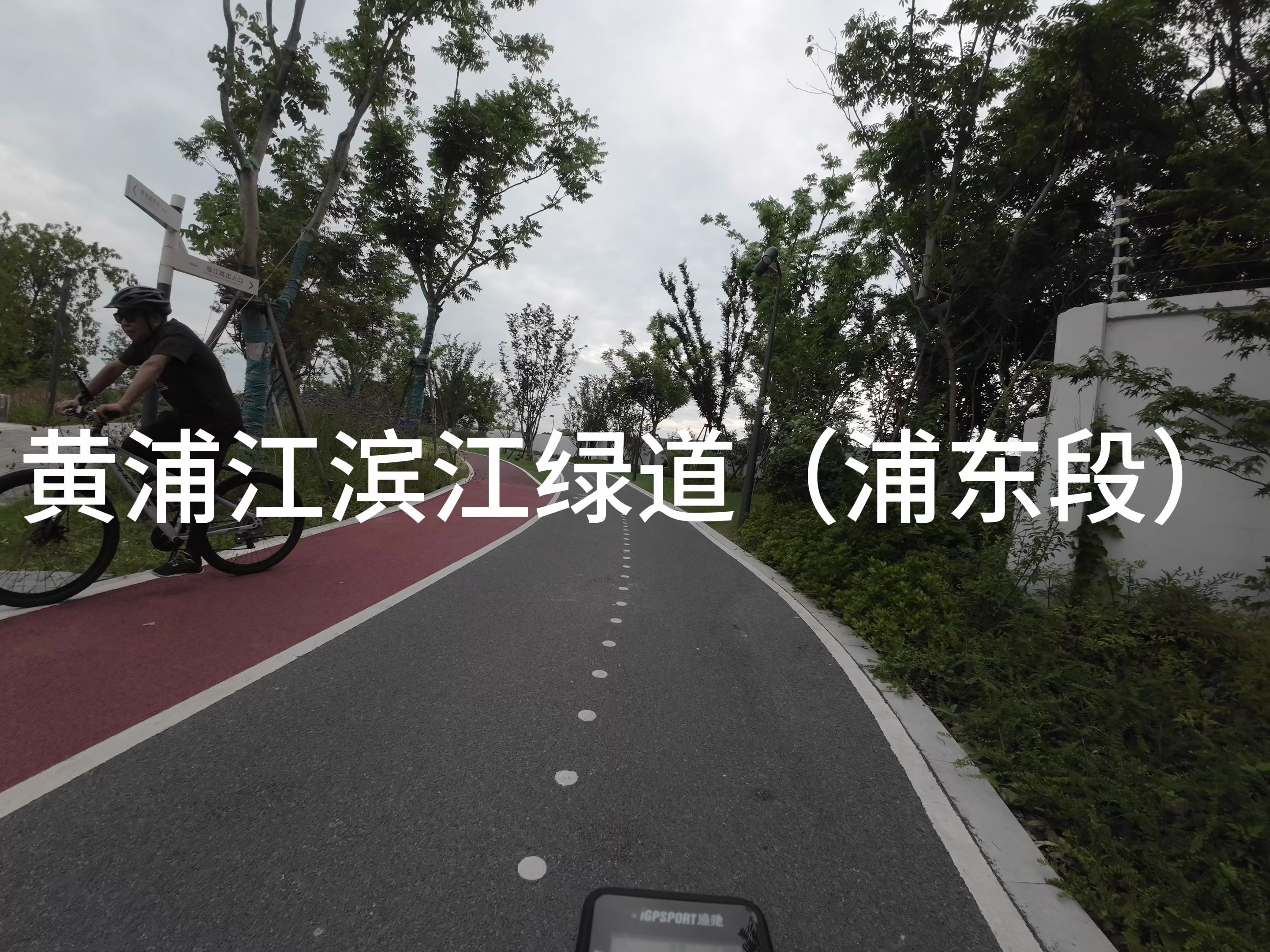 黄浦江滨江绿道(浦东段)骑行
