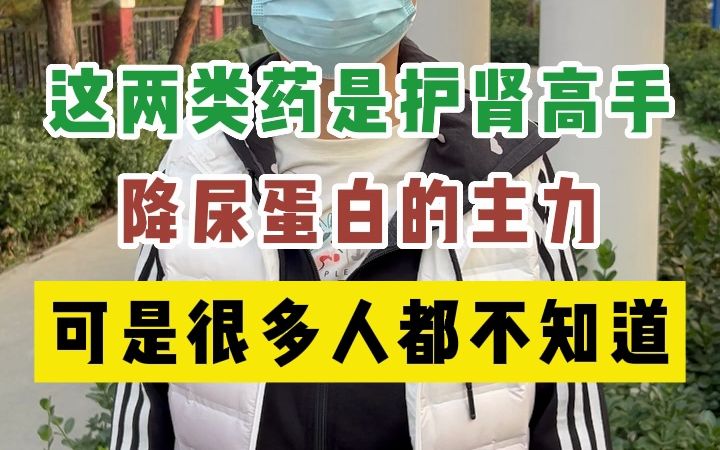 这两类药是护肾高手,降尿蛋白的主力,可是很多人都不知道哔哩哔哩bilibili