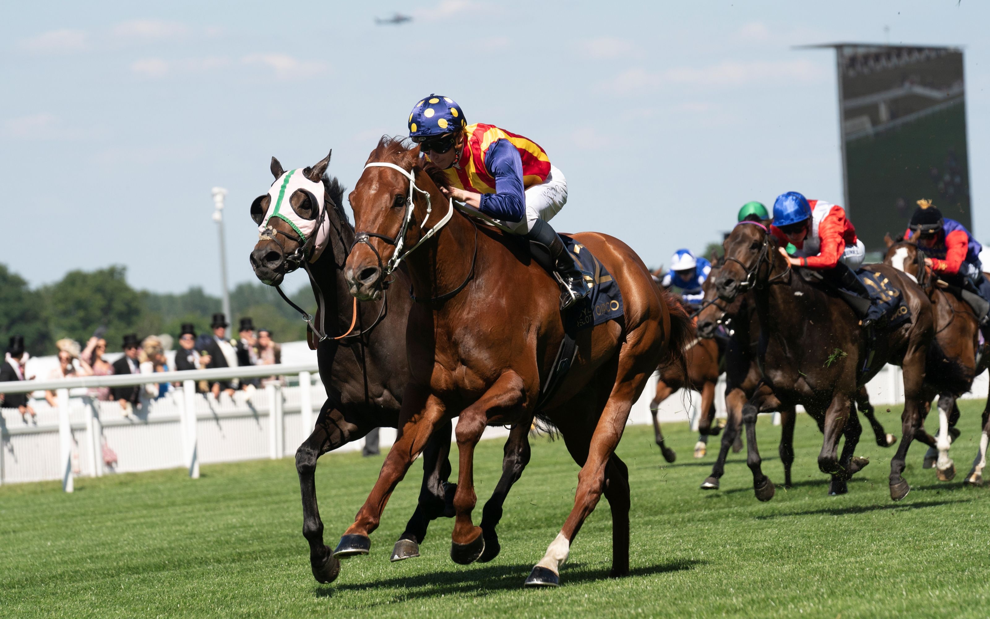 【赛马】2022年皇席锦标 绿化带(nature strip)