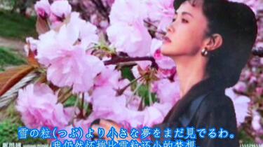 気分は中島美雪！弾き語りなら！ヤマハFG420A エレアコ 音出し良好