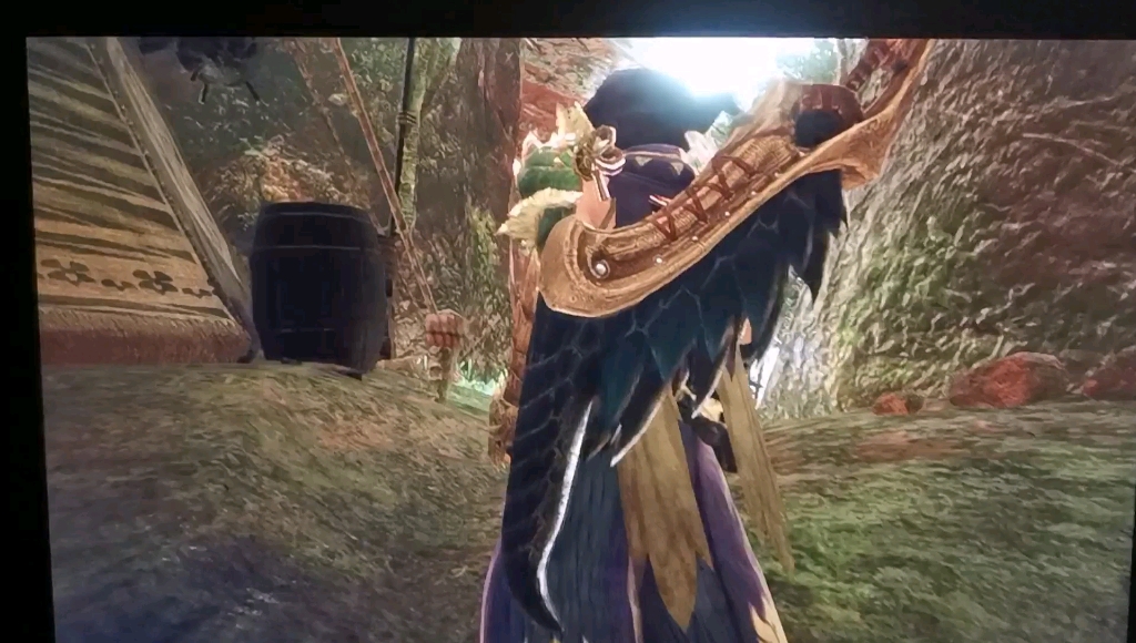 怪物猎人崛起大剑霸主雌火龙5分46(三无)