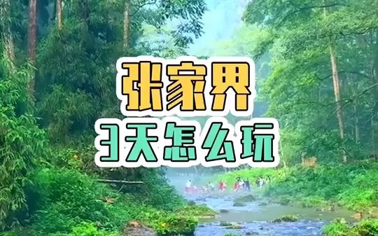 【旅游攻略】张家界3天怎么玩?哔哩哔哩bilibili