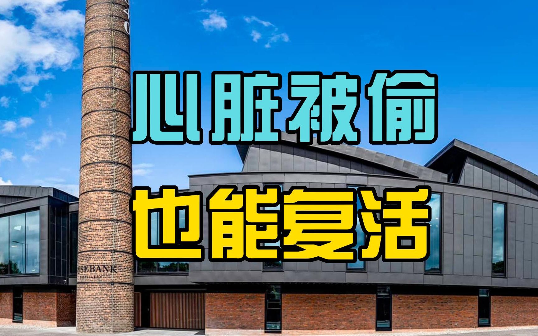 酒厂“心脏”被偷之后还能王者归来,就在2023年哔哩哔哩bilibili