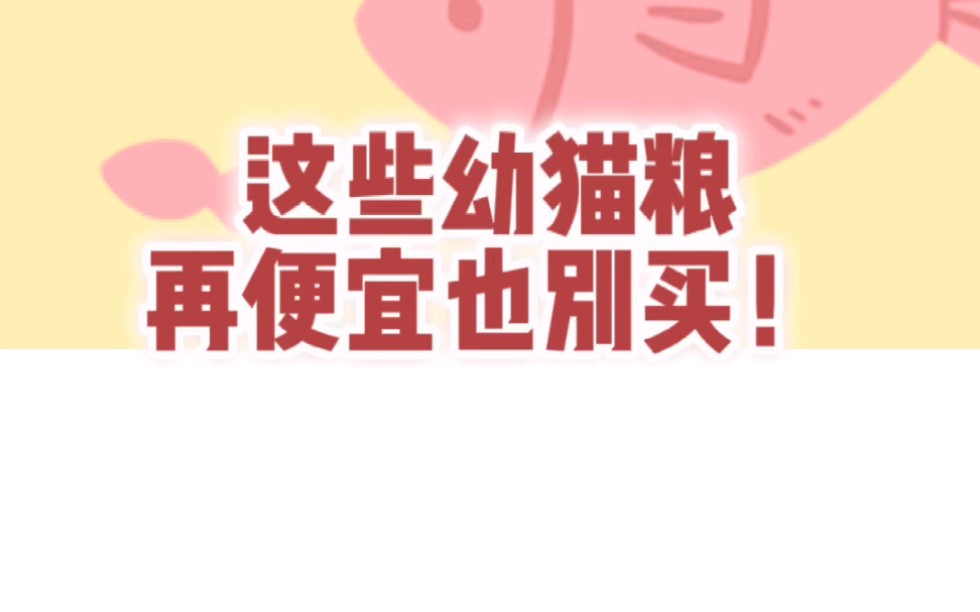 这些猫粮再便宜也别买!这次的幼猫粮测评,不同月薪的公主们自己对号入座!哔哩哔哩bilibili