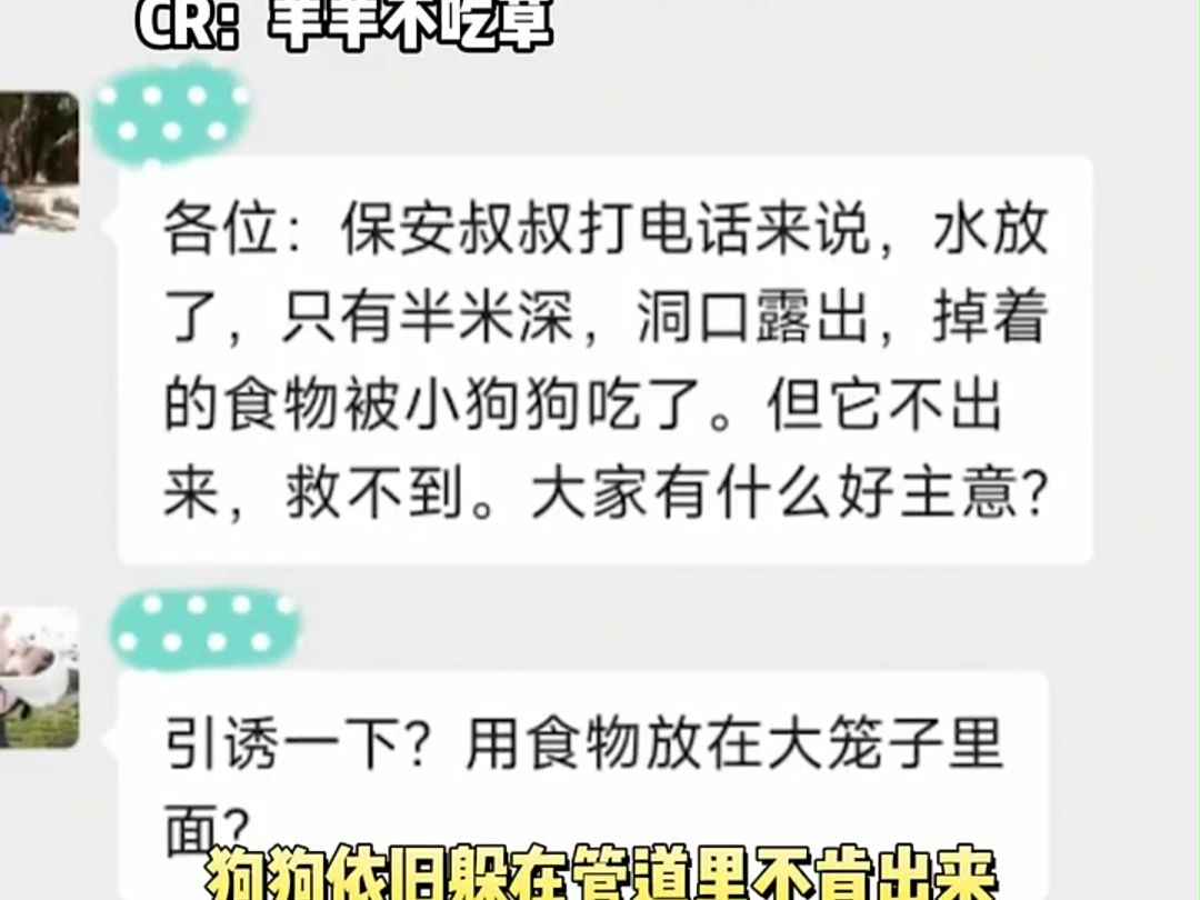 好的大学真的不需要宣传,口口相传的声誉,就是它最好的招生简章!哔哩哔哩bilibili