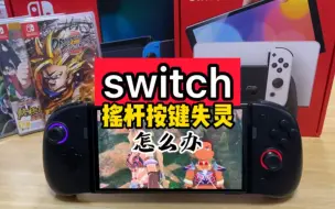 Download Video: switch 按键失灵了怎么办