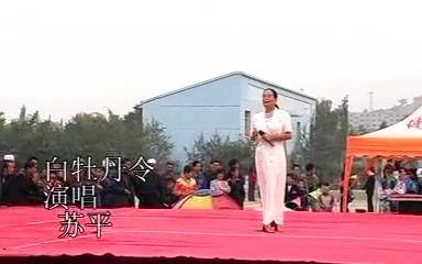 [图]【青海花儿】花儿皇后苏平演唱 阿哥的白牡丹（白牡丹令）