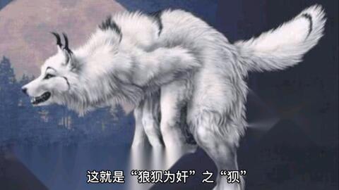 神话故事 妖怪录 狼军师 哔哩哔哩