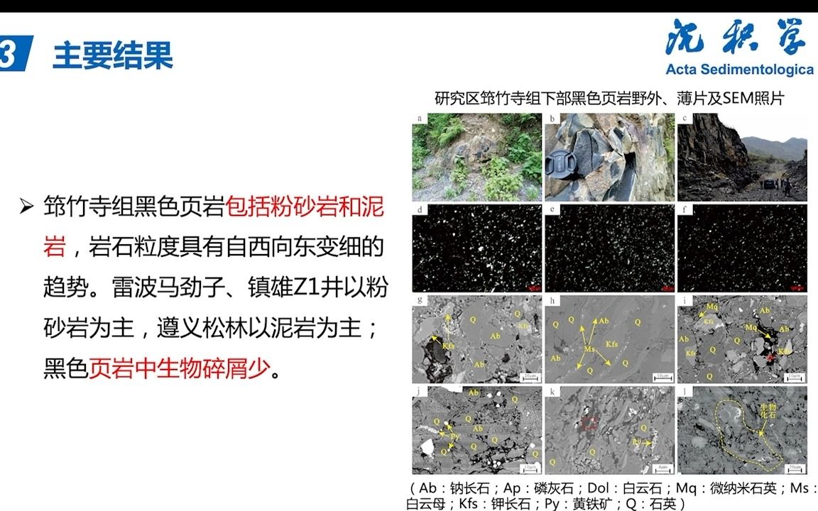 #沉积课堂 黑色页岩中微纳米石英成因及其沉积环境指示意义哔哩哔哩bilibili