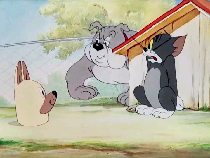 "闲暇之余,来一集精彩有趣的猫和老鼠吧!