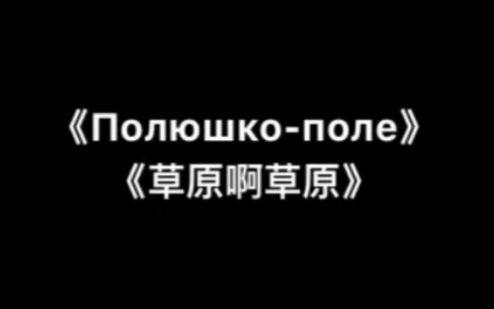 [图]《Полюшко-поле（草原啊草原）》亚历山德罗夫歌舞剧团版 中俄字幕