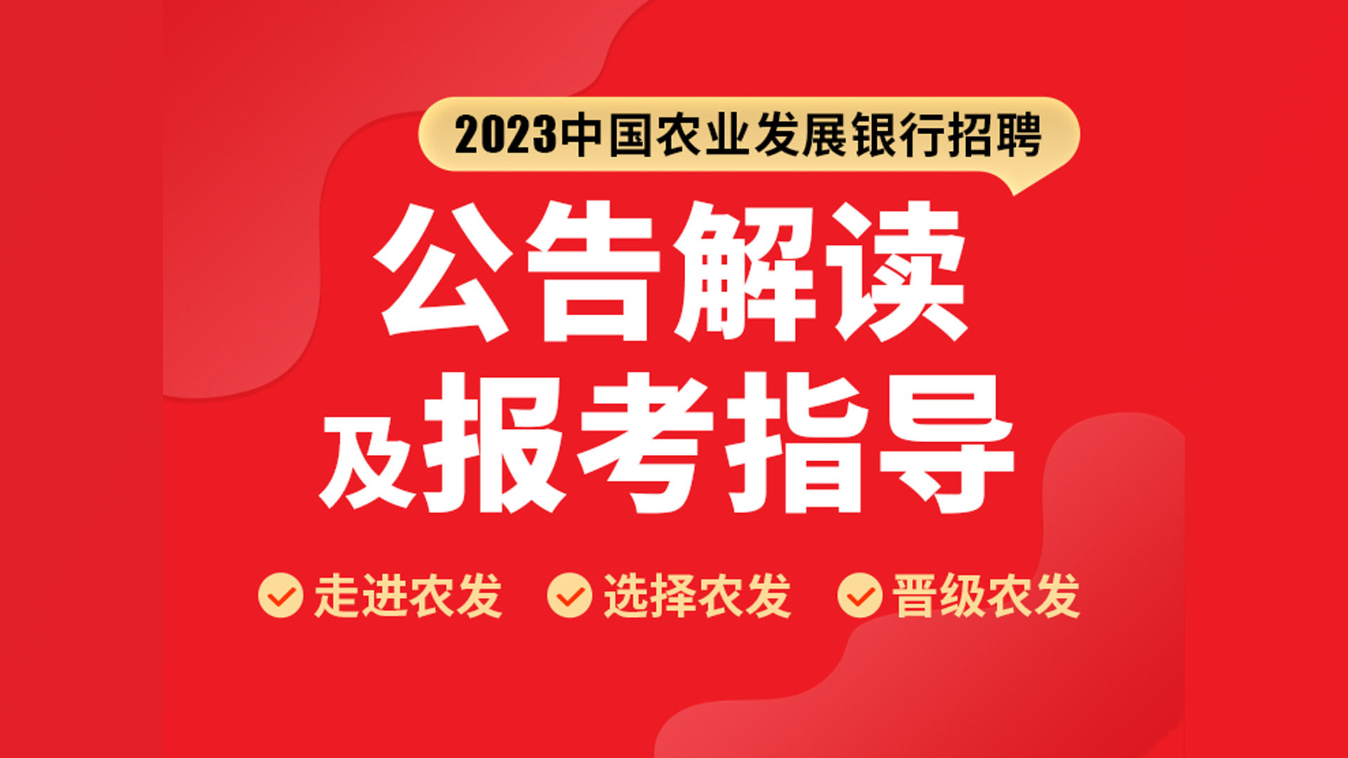 2023农发行招聘公告解读:农发职业发展通道及往年报考分析哔哩哔哩bilibili