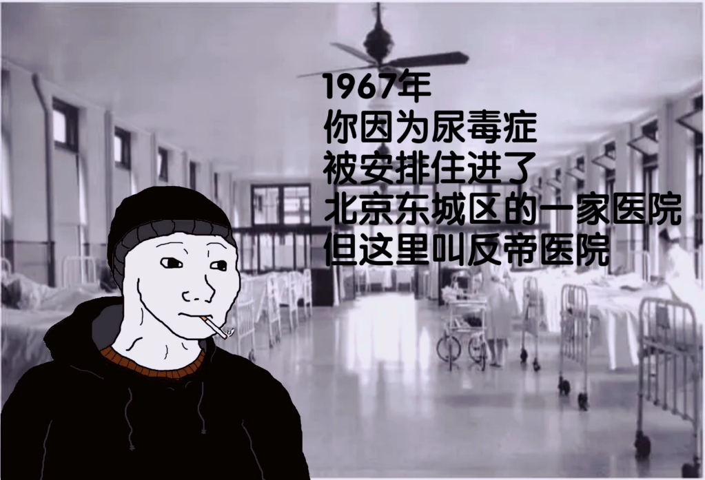 【doomer】1967年,你因为尿毒症被安排住进了北京东城区的一家医院,但这里叫反帝医院……哔哩哔哩bilibili