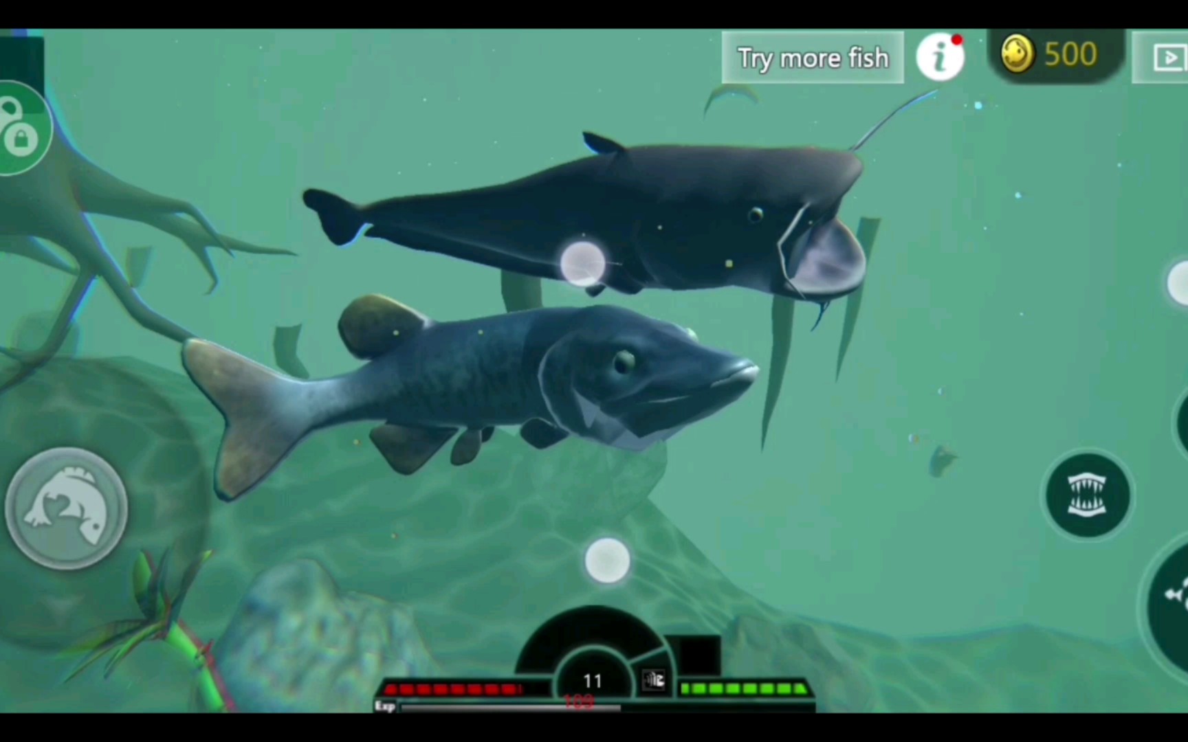 海底大猎杀:沼泽狗鱼成神