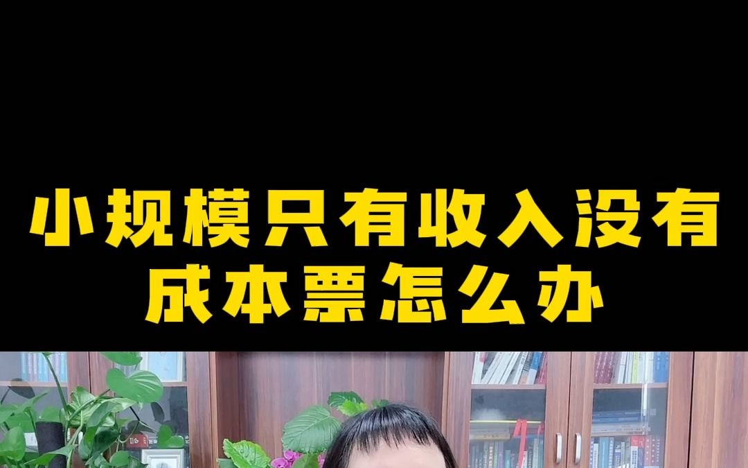 小规模只有收入没有成本票怎么办?(1)哔哩哔哩bilibili