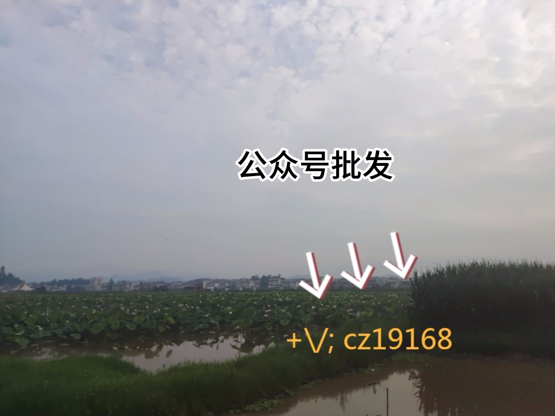 微信账号转让-安全可靠的微信账号买卖平台 微信账号转让-安全可靠的微信账号买卖平台